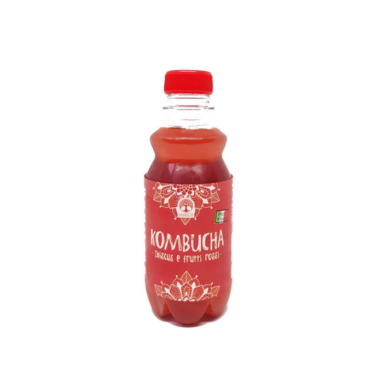 KOMBUCHA IBISCUS E FRUTTI ROSSI - 250 ml