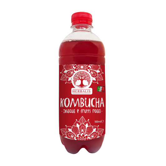 KOMBUCHA IBISCUS E FRUTTI ROSSI - 500 ml
