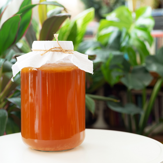 Storia e leggenda del Kombucha