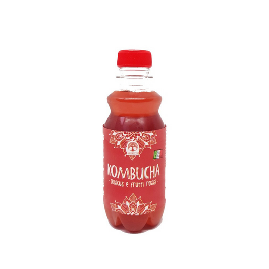 KOMBUCHA IBISCUS E FRUTTI ROSSI  - 250 ml