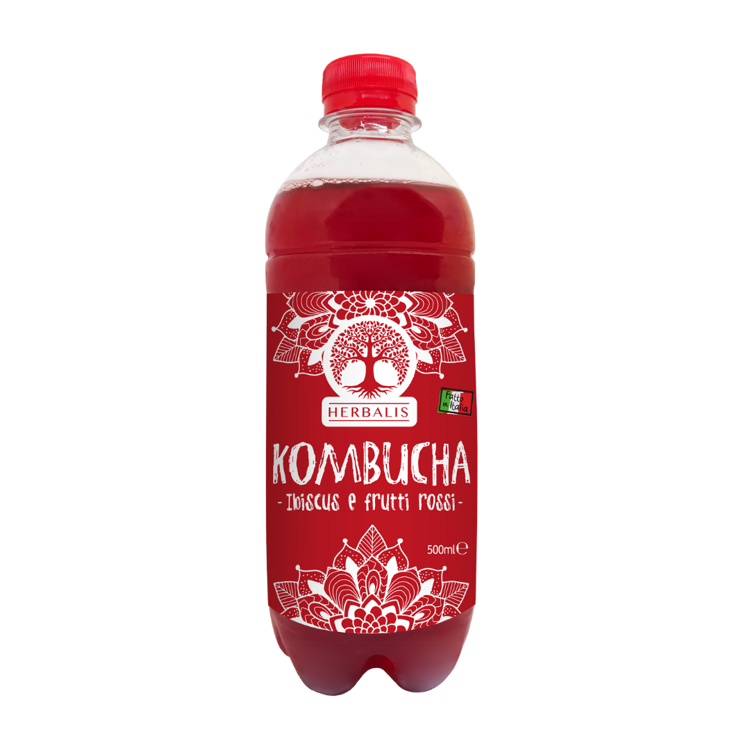 KOMBUCHA IBISCUS E FRUTTI ROSSI  - 500 ml