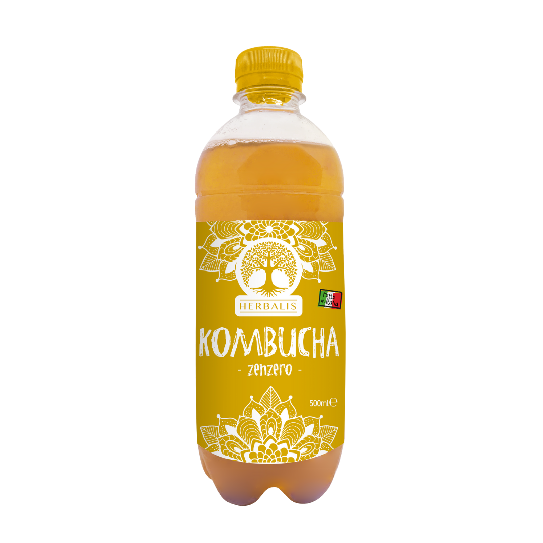 KOMBUCHA ZENZERO E CARDAMOMO - 500 ml