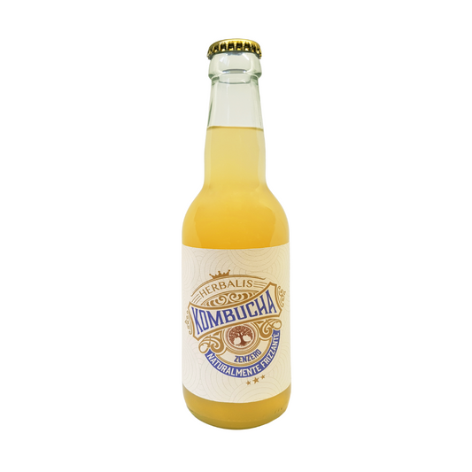 KOMBUCHA ZENZERO E CARDAMOMO - Bottiglia in vetro da 330 ml